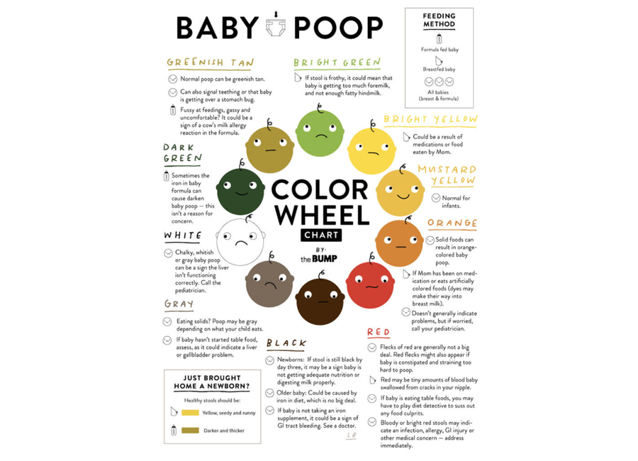 Poop Chart – The Smart Mum